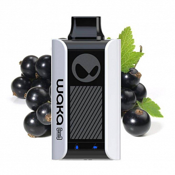 WAKA SoPro PA10000 POD-1 "Blackcurrant Mint / Черная смородина Мята" 18мг.
